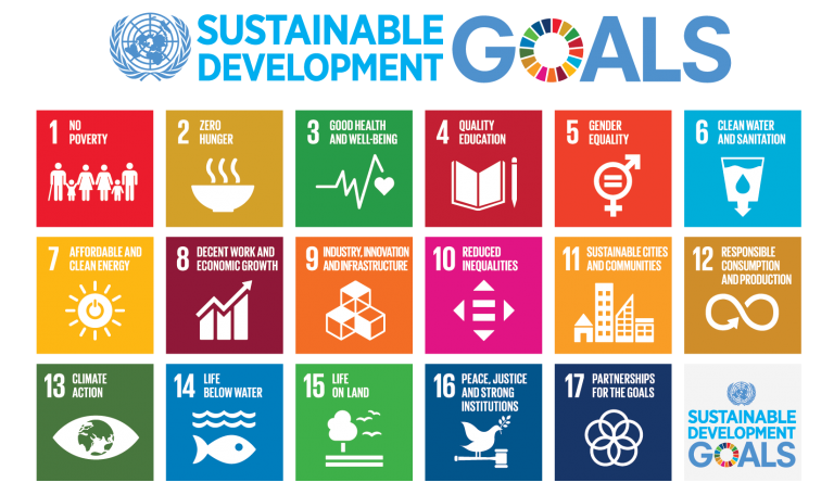 ../_images/SDGs-poster-768x456.png